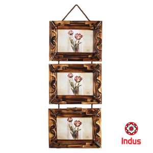 3 Tier Photo Hanger